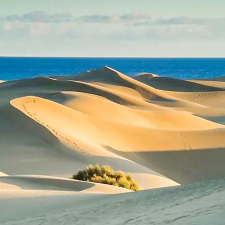 아파트 Olas 플라야 델 잉글스