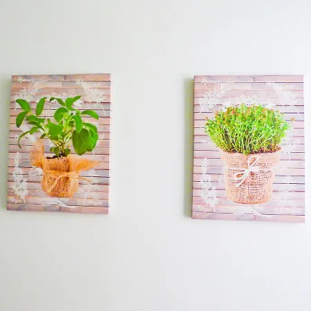 Апартаменты Olas *